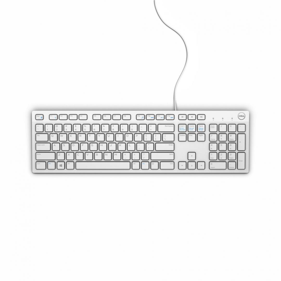 Dell TASTATURI, "KB216", cu fir, 105 taste format standard (104-108 taste), USB, alb, 580-ADGM