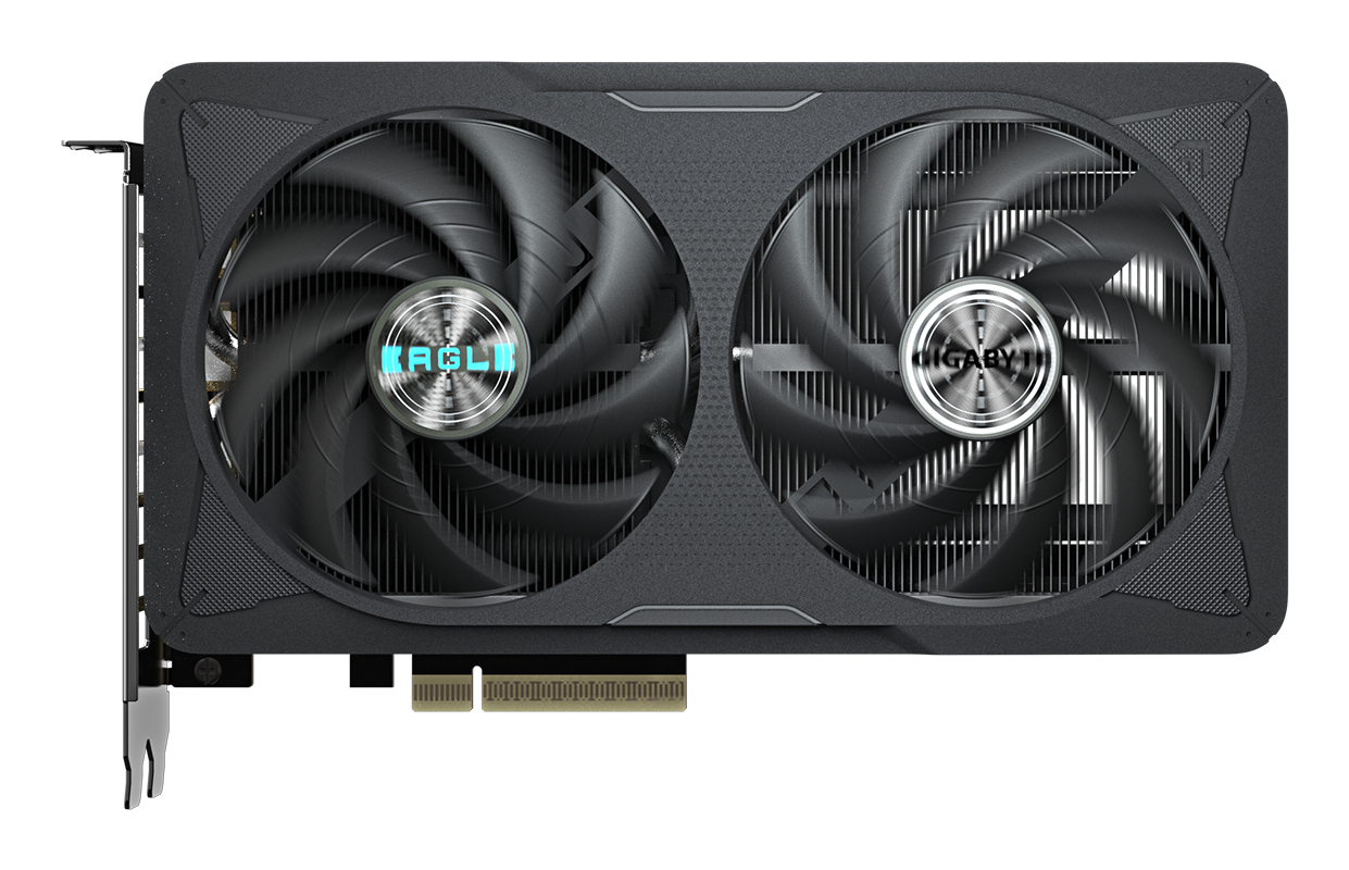 Gigabyte, N5060EAGLE OC-8GD - imagine 2