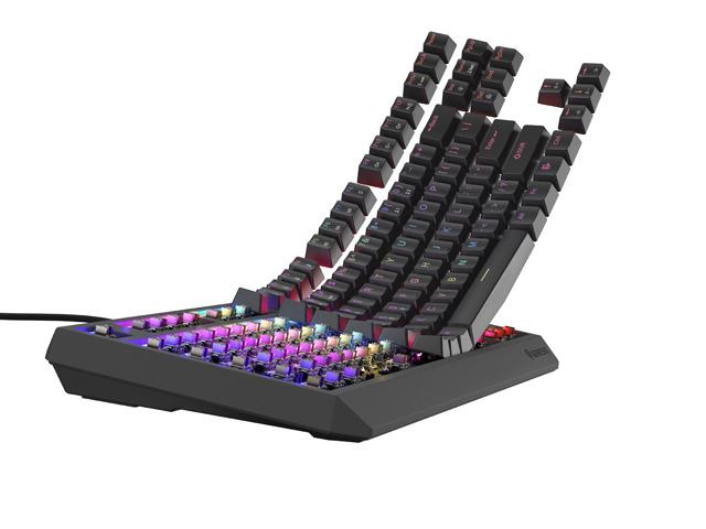 GENESIS Tastatura Mecanica Gaming Thor 230 TKL, RGB, USB, negru, NKG-2079 - imagine 5