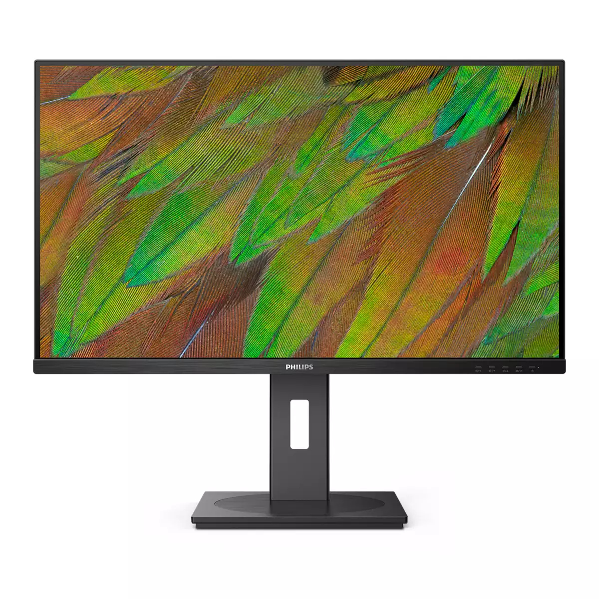 Philips Monitor 31.5", 32B1N3800/00 - imagine 5