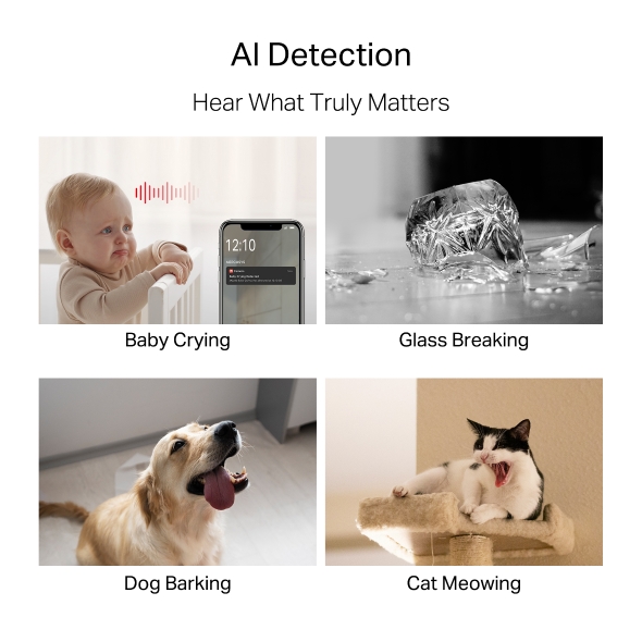 Mercusys CAMERA IP, MC230 - imagine 6