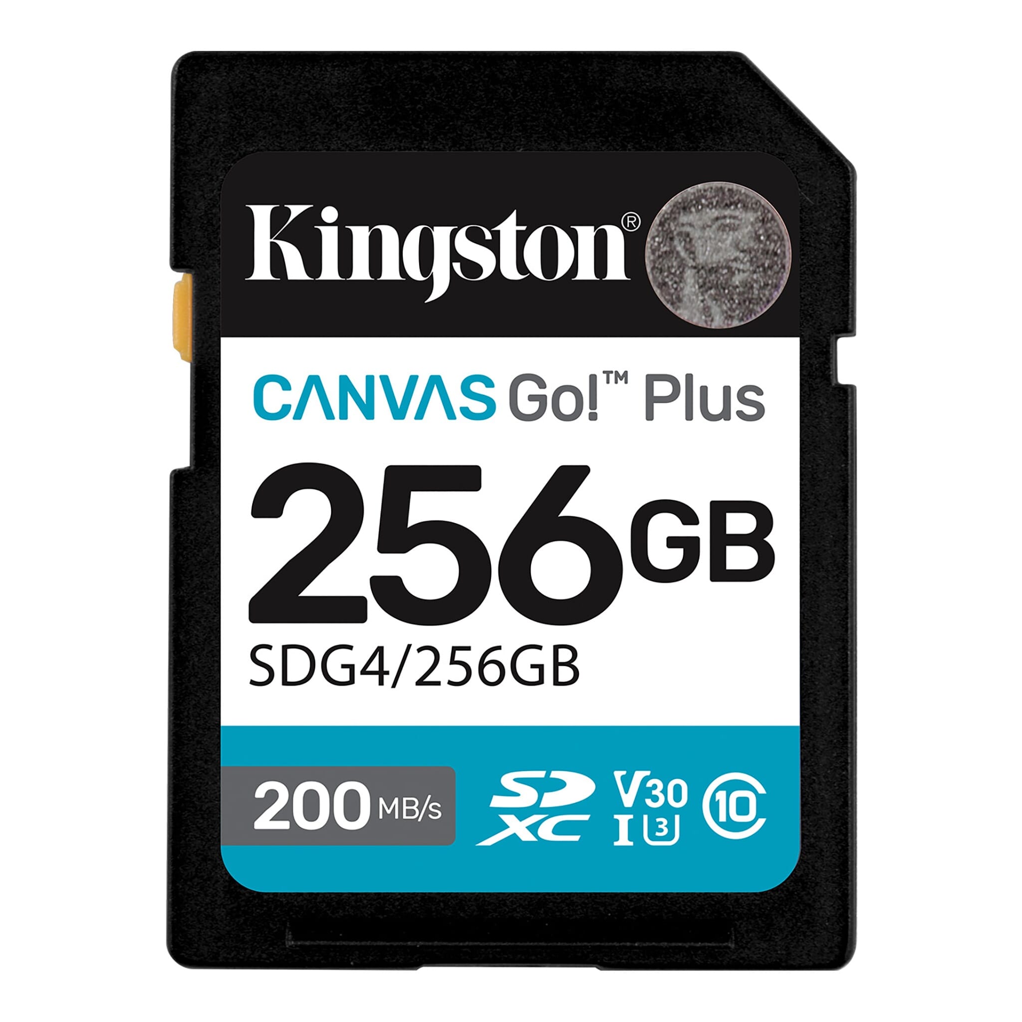 Kingston SD Canvas GO Plus 256GB AD, SDG4/256GB