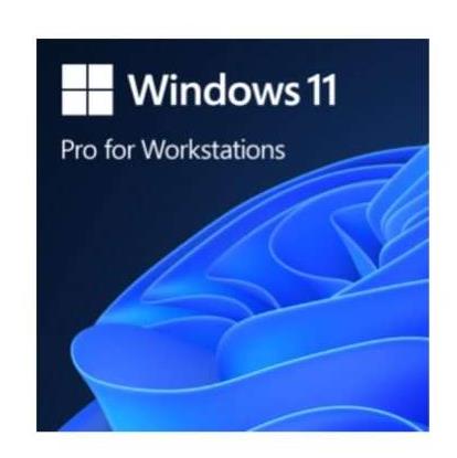 Microsoft SW OEM WIN 11 PRO WRKSTNS 64B/ENG 1PK DVD MS, HZV-00101