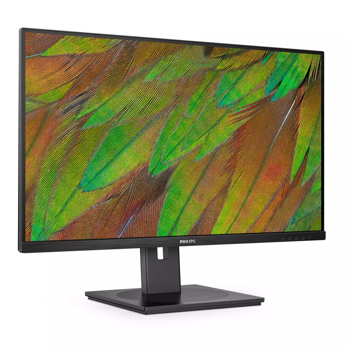 Philips Monitor 31.5", 32B1N3800/00 - imagine 7