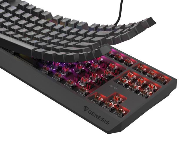 GENESIS Tastatura Mecanica Gaming Thor 230 TKL, RGB, USB, negru, NKG-2079 - imagine 7