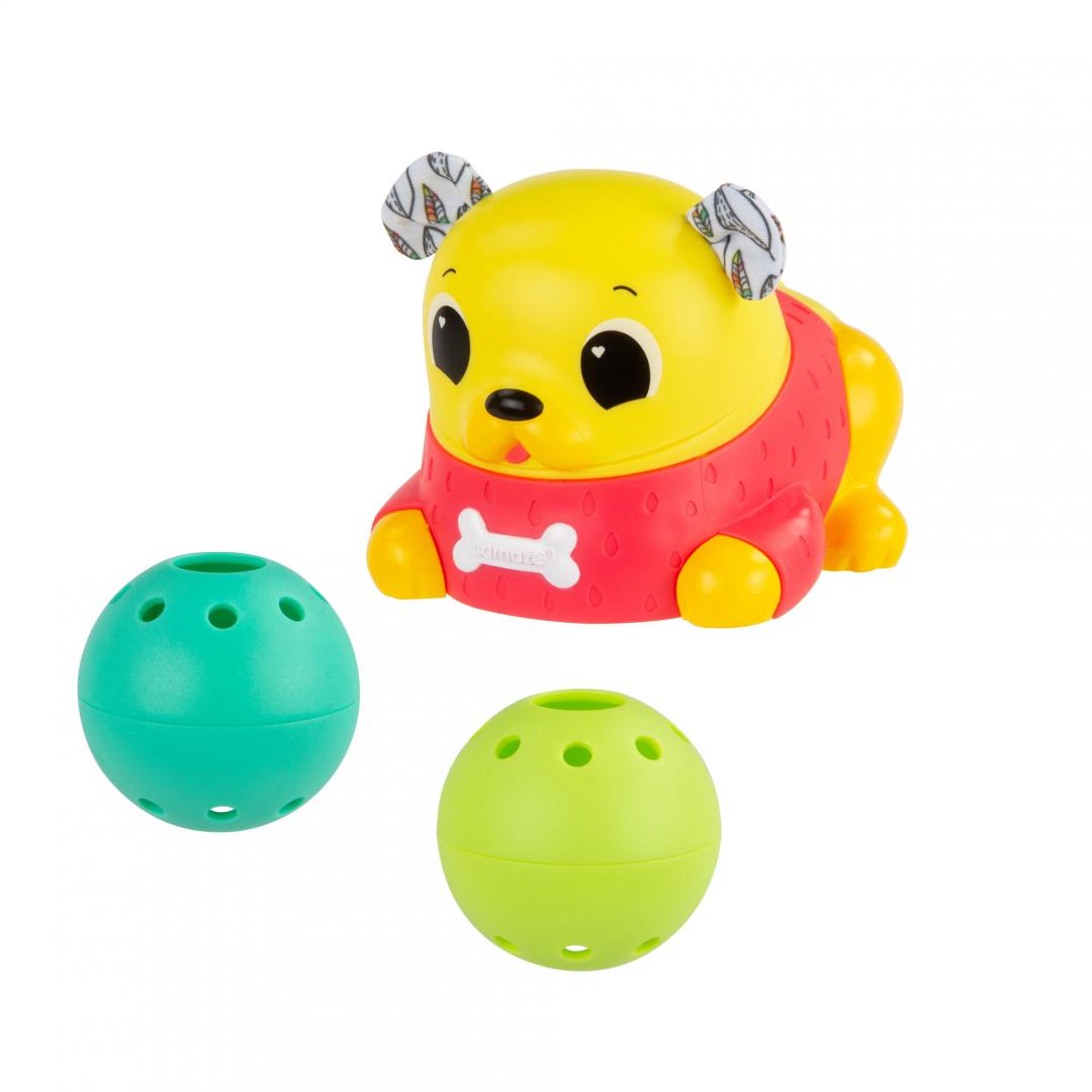 TOMY JUCARIE DE URMARIRE, CATEL PUG, LAMAZE, T27462
