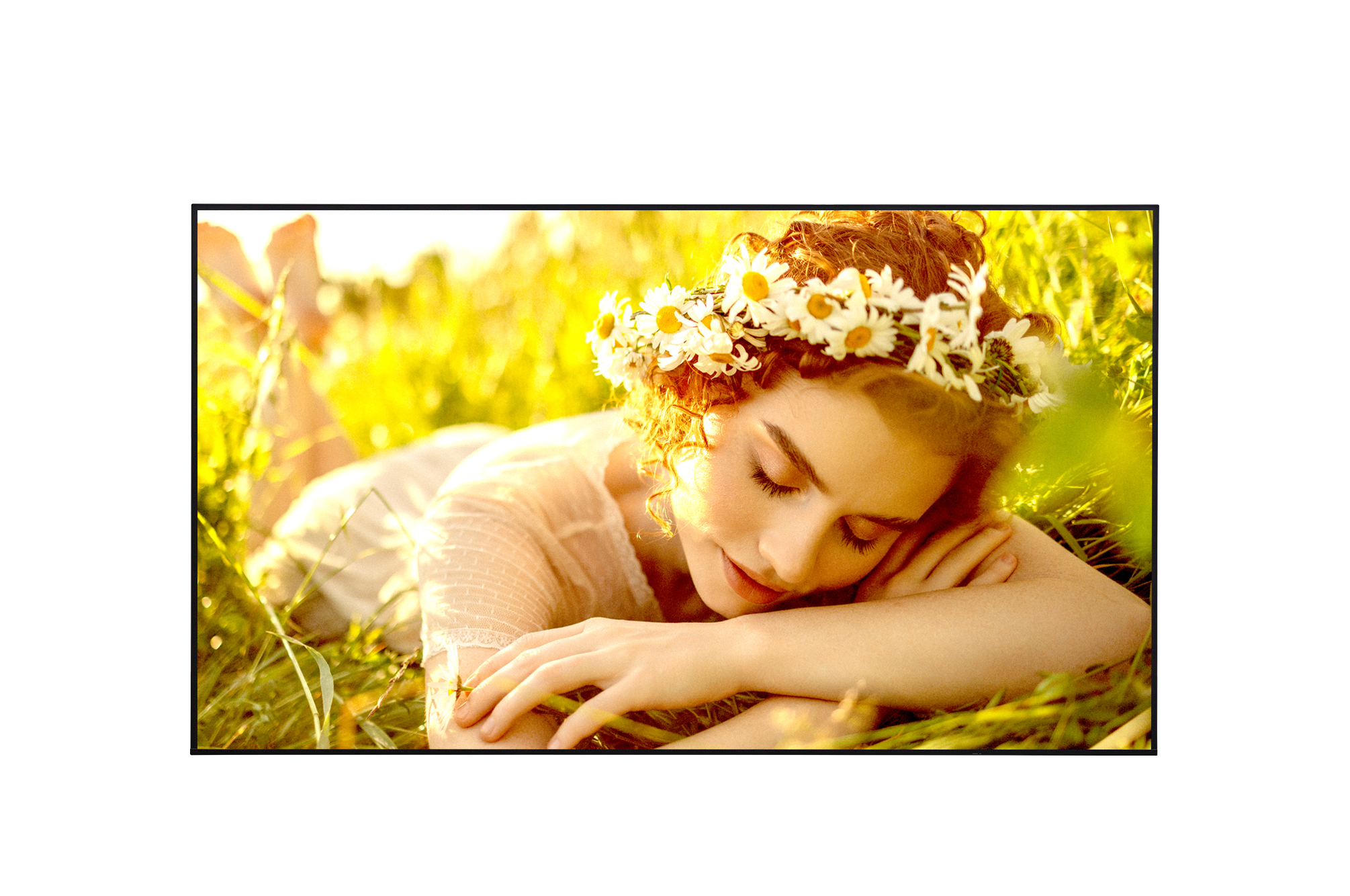 LG DISPLAY LCD 43" 4K/, 43UL5Q-M