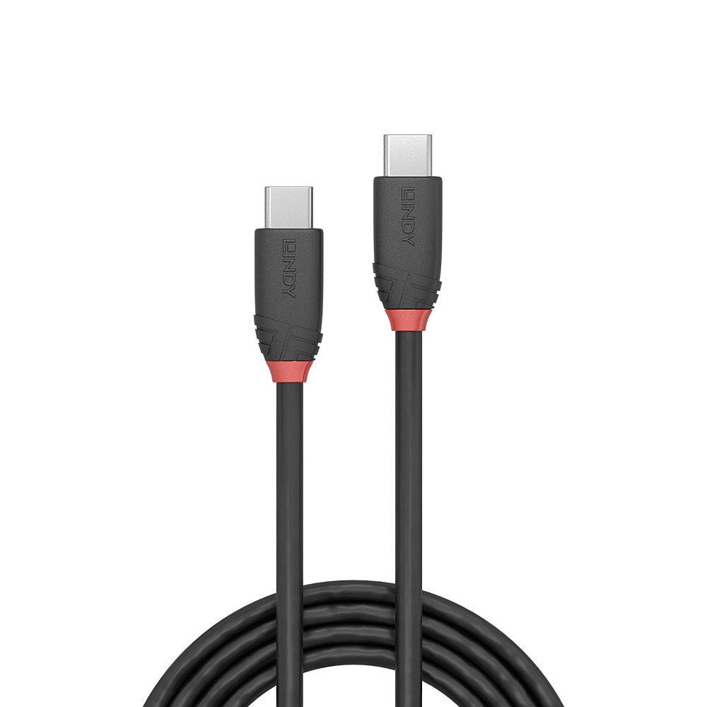 Lindy Cablu 1m USB 3.2 Type C to C 200gp, LY-36906 - imagine 2