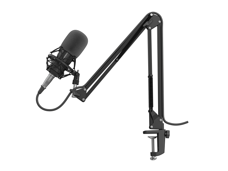 GENESIS Microfon Radium 300 XLR, tip Condenser, USB/3.5 mm, NGM-1695