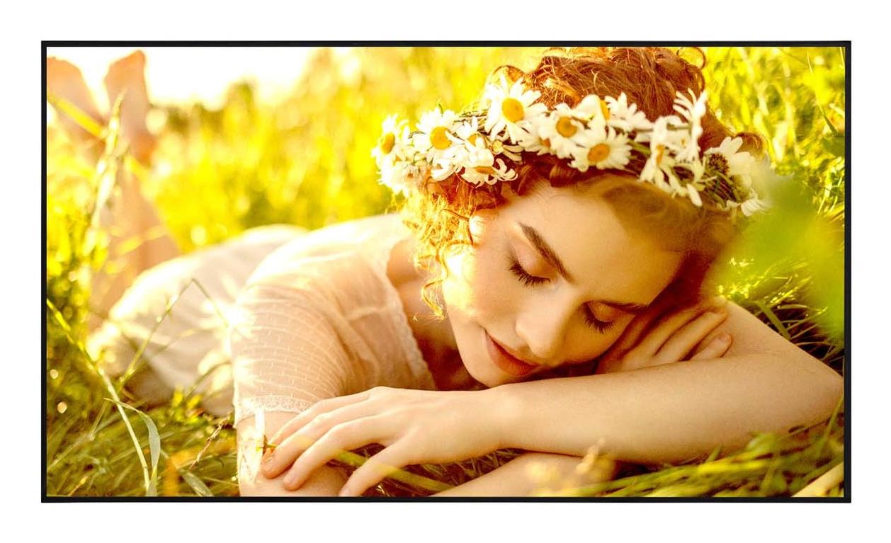 LG DISPLAY LCD 65"/, 65UL5Q-E