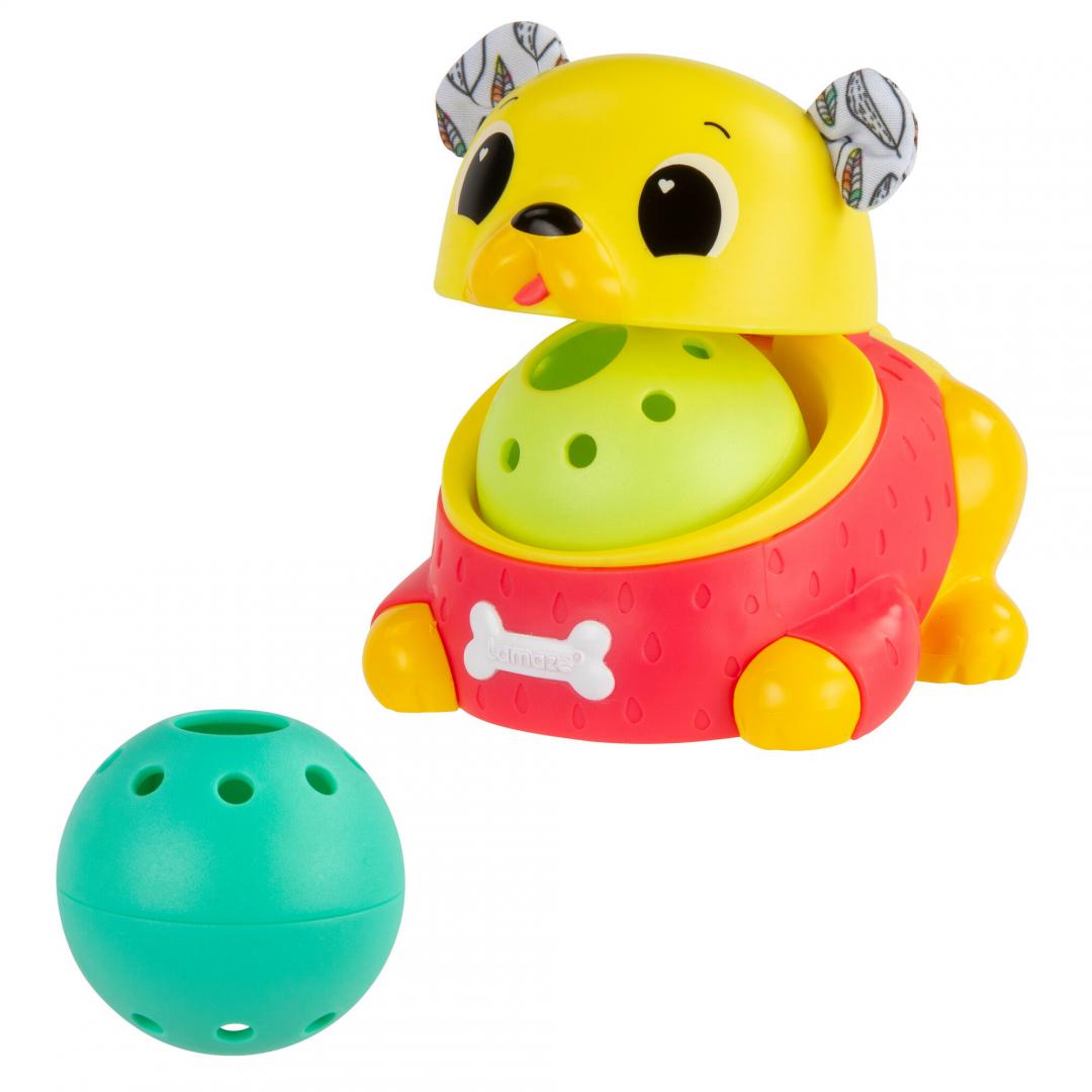 TOMY JUCARIE DE URMARIRE, CATEL PUG, LAMAZE, T27462 - imagine 4