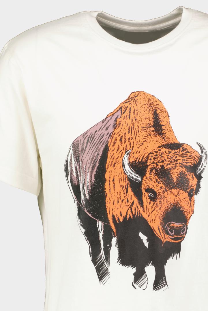 PEGAS TRICOU ZIMBRU S, TPG23ZIMBR-IVO_S