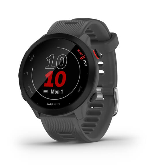 Garmin Smartwatch Forerunner 55 Monterra Grey, 010-02562-13