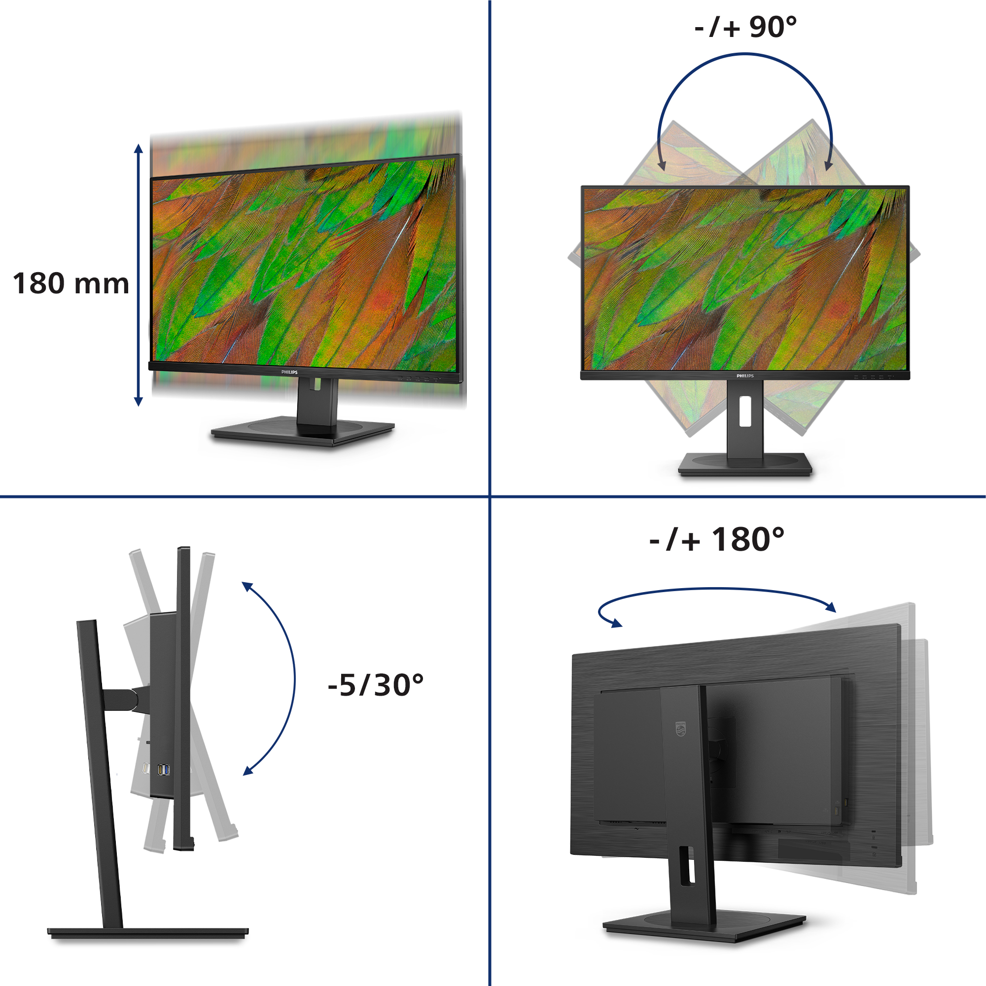 Philips Monitor 31.5", 32B1N3800/00 - imagine 3