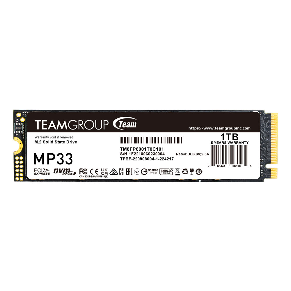 TeamGroup SSD MP33, TM8FP6001T0C101