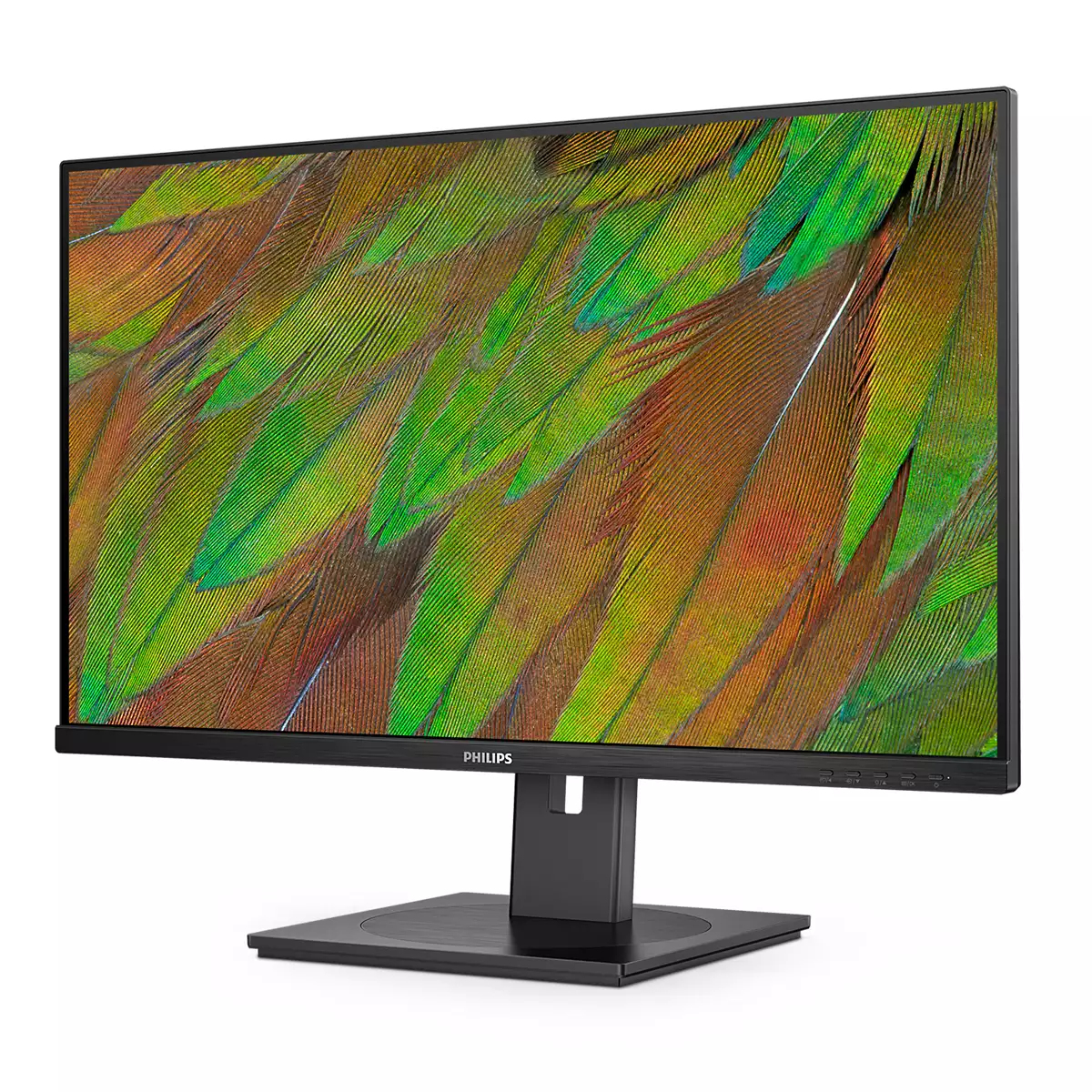 Philips Monitor 31.5", 32B1N3800/00 - imagine 9