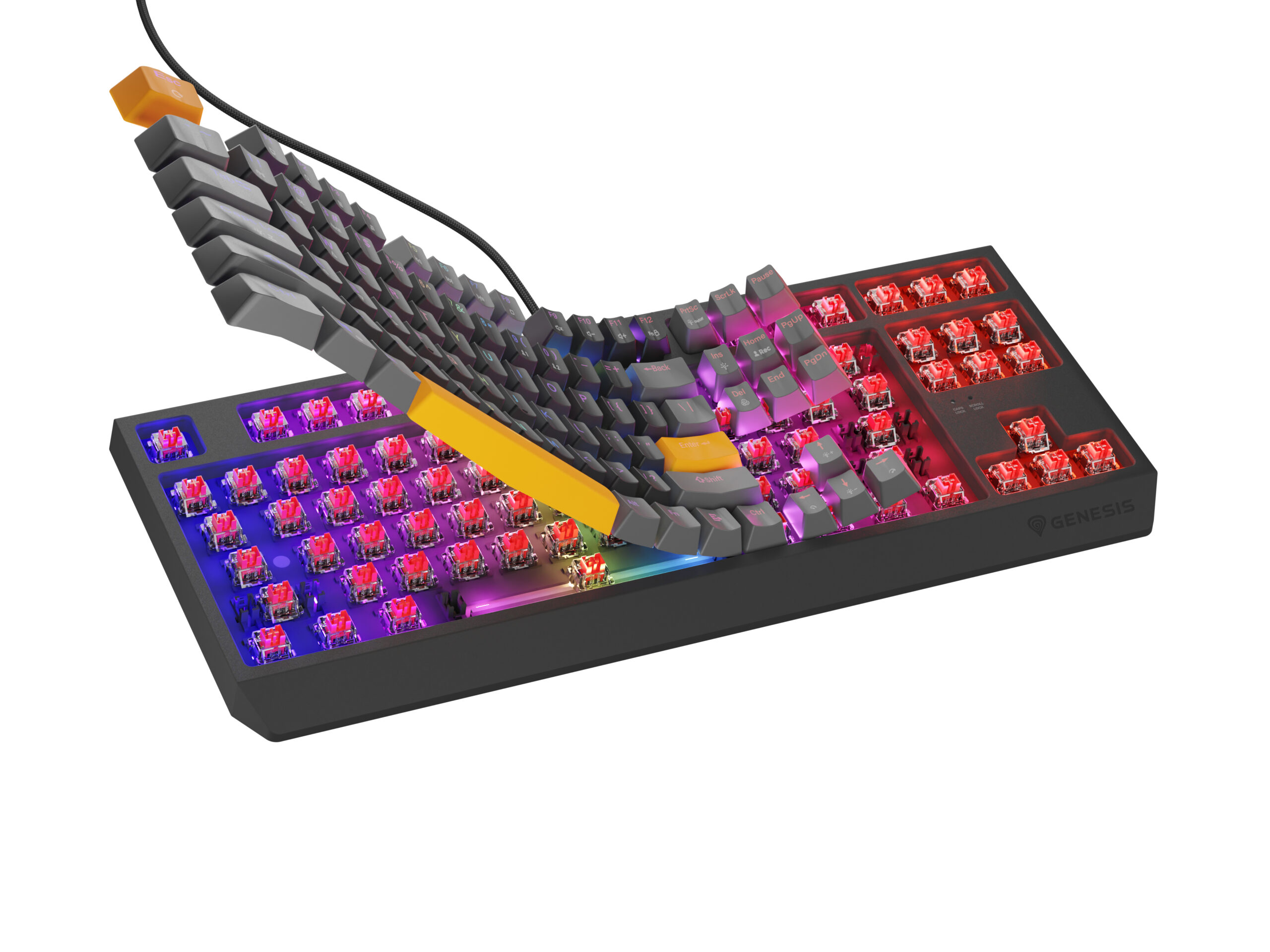 Genesis Tastatura Thor 230 TKL Anchor Gray Positive RGB Outemu Red, NKG-2081 - imagine 5