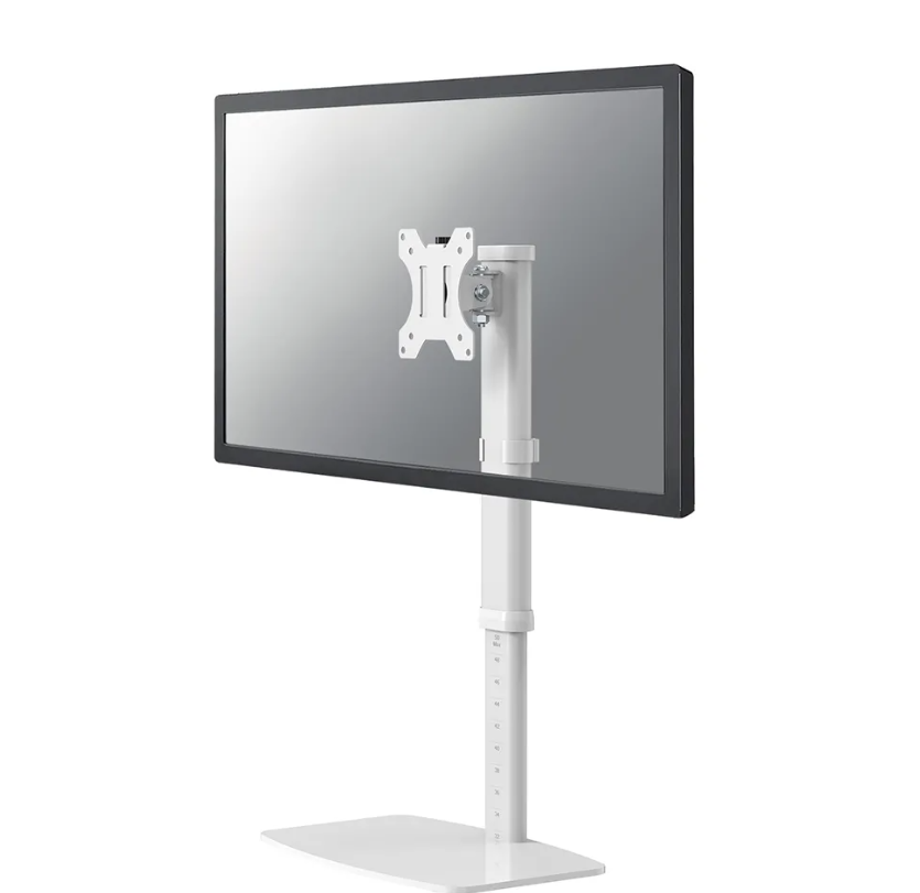 Neomounts Suport dublu mon. birou NM 10"-30" 6 kg, FPMA-D890WHITE