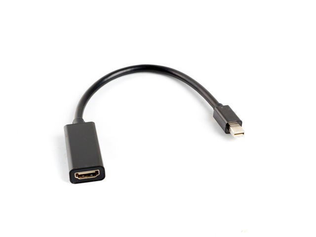 Lanberg Cablu adaptor Mini ng, AD-0005-BK