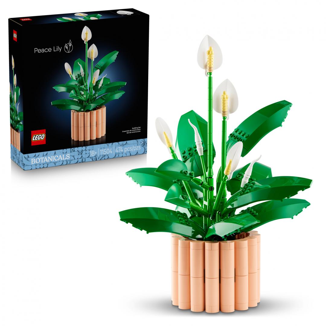 LEGO CRINUL PACII, LEGO11504