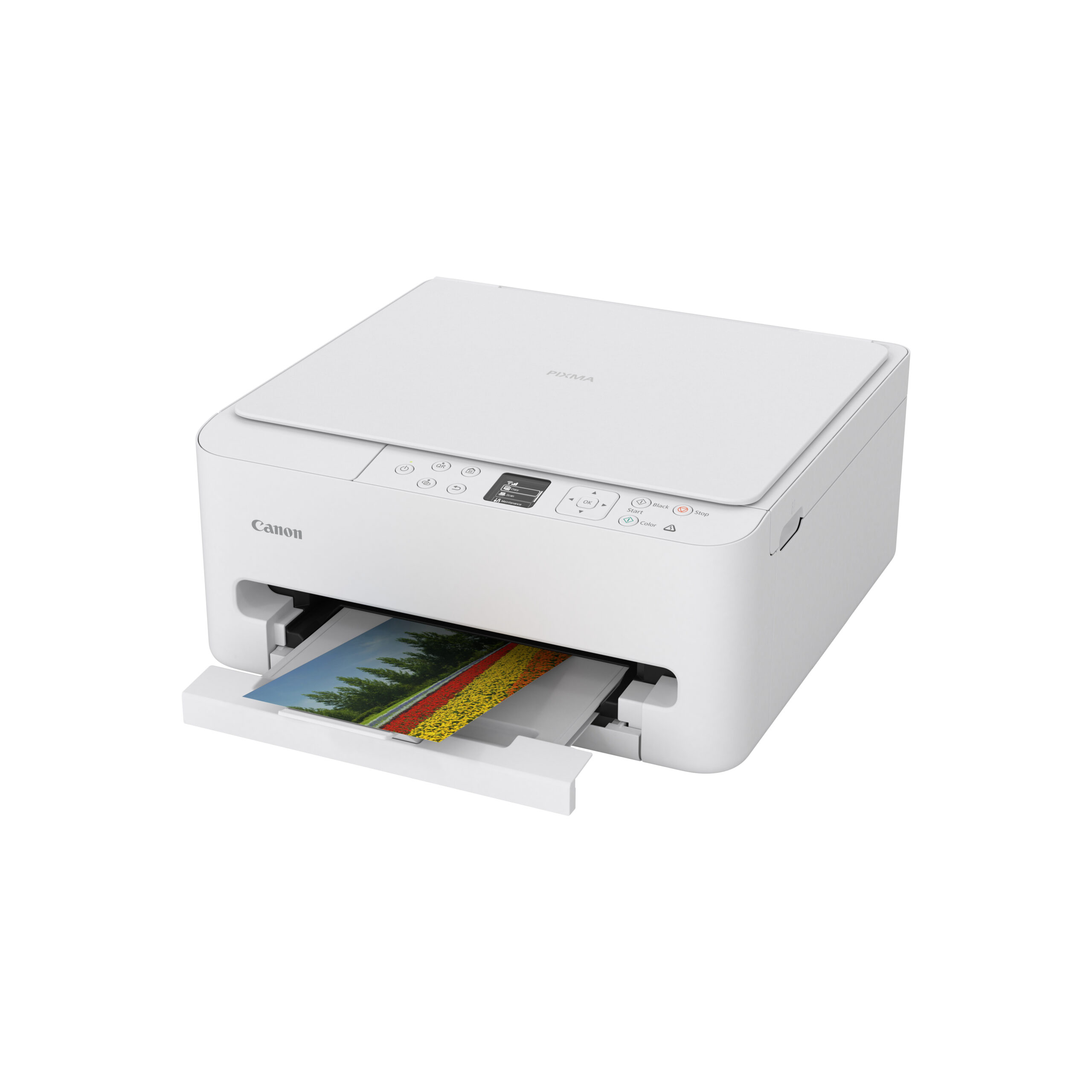 Canon Multifunctional InkJet Color TS6550I, A4, Impr.|Scan.|Cop., 14ppm mono, 9ppm color, 7179C006AA - imagine 5